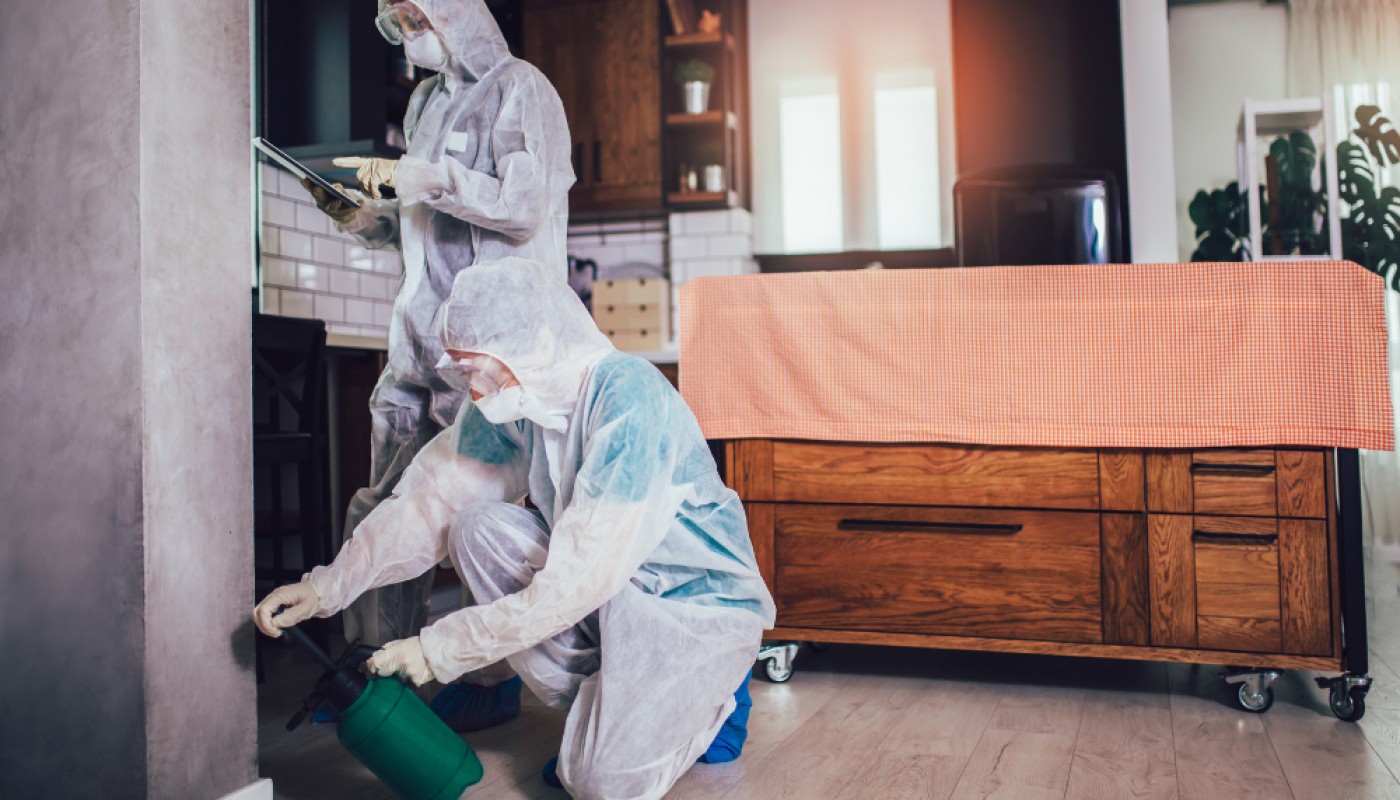 Eco Hygiène 3D, votre expert anti-nuisibles à Marseille